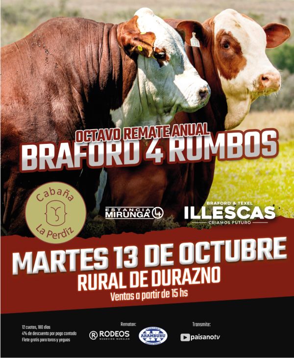8º Remate Anual Braford 4 Rumbos