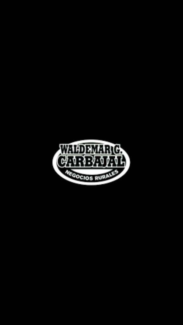Pantalla Carbajal