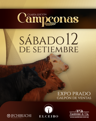 Tercera edicion campeonas