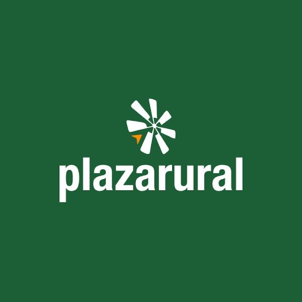 PLAZA RURAL Nº 320