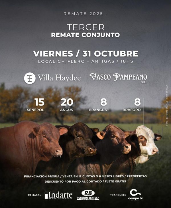 Tercer Remate Conjunto Tercer Remate Conjunto