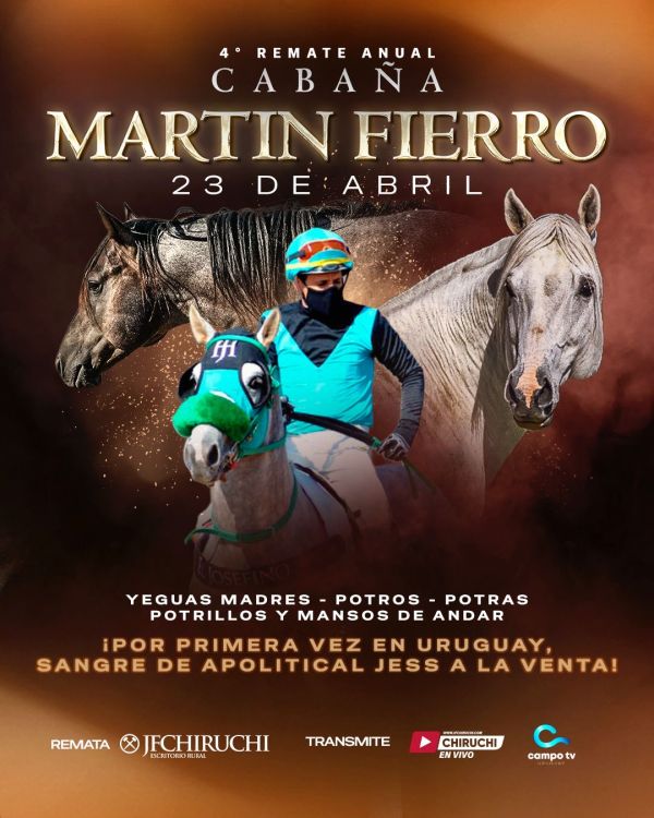 Martín Fierro Martín Fierro