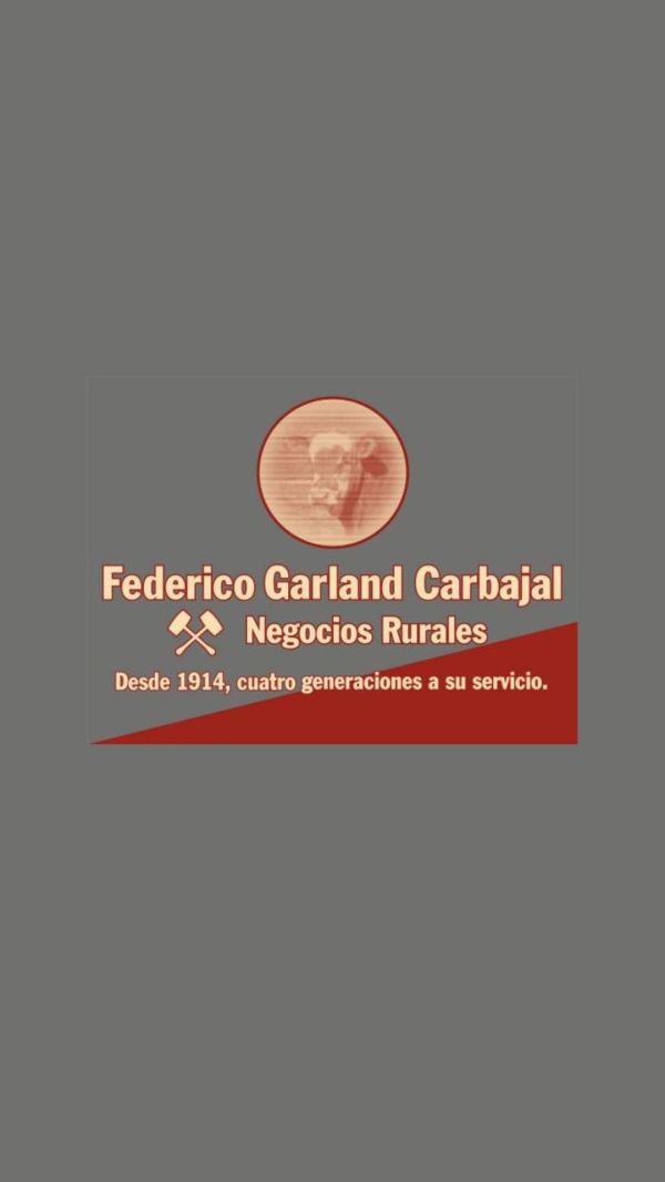 Pantalla Garland Carbajal Expo Ombues