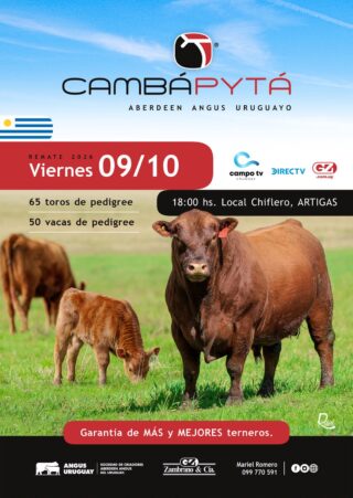 Camba Pytá Artigas Remate Anual