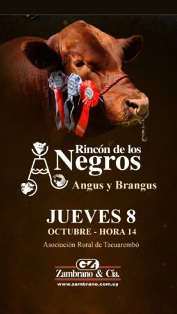 Rincón de los Negros 24º Remate Rústicos de las Sierras del Norte