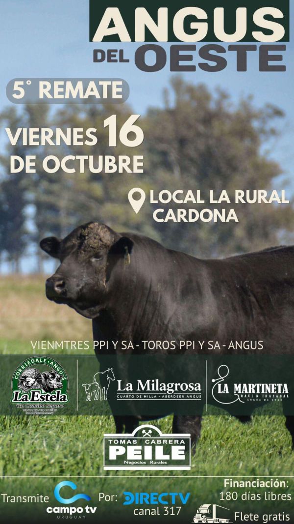 Angus del Oeste