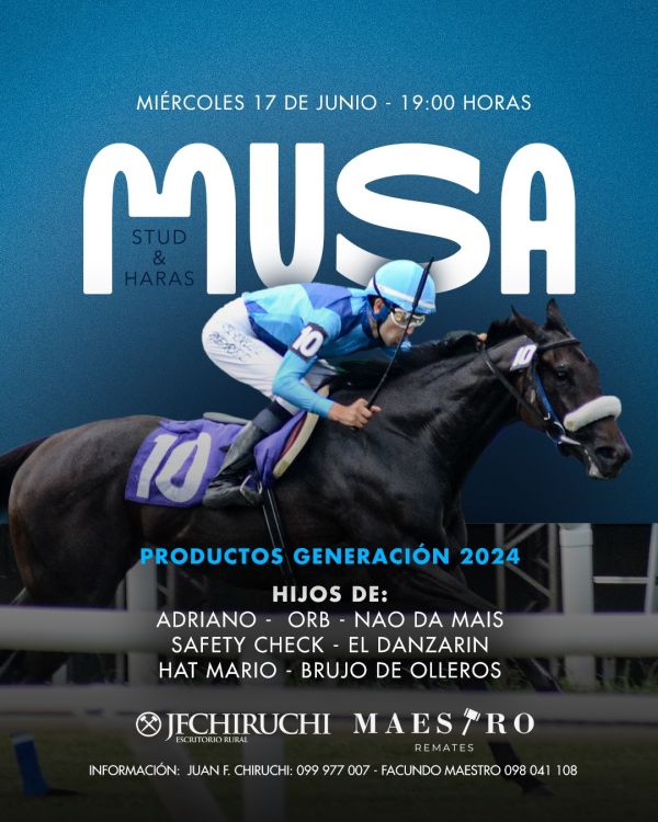 STUD Y HARAS MUSA STUD Y HARAS MUSA