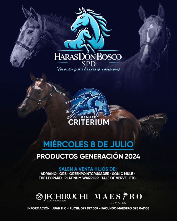 Haras Don Bosco Haras Don Bosco