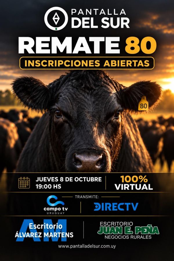 Remate 80 - Pantalla del sur