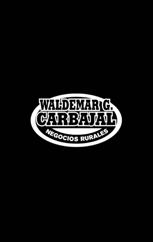Pantalla Carbajal Pantalla Carbajal