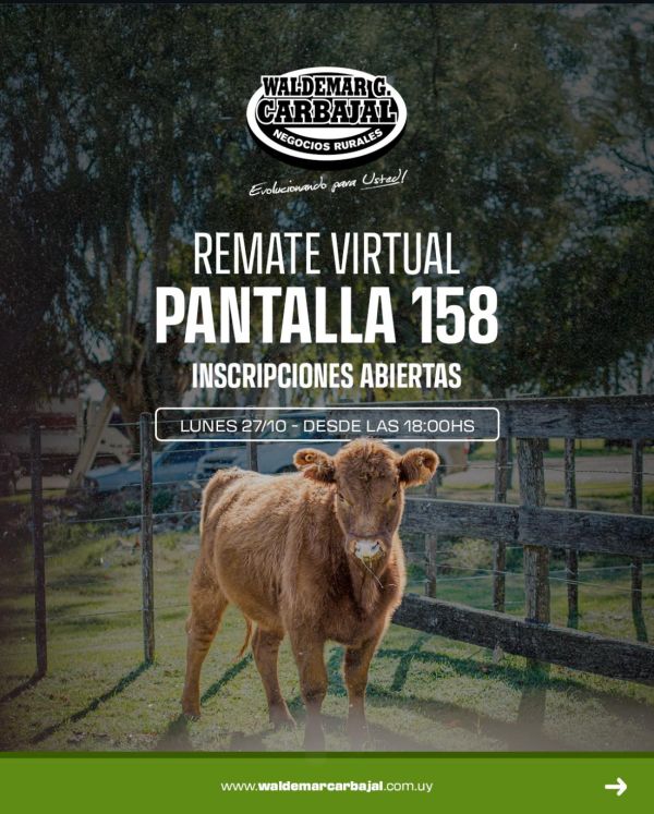 Pantalla Carbajal 158 Pantalla Carbajal 158
