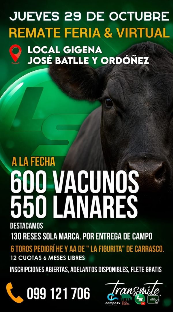 Remate Feria & Virtual