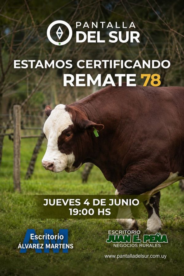 Pantalla del Sur - Remate 78