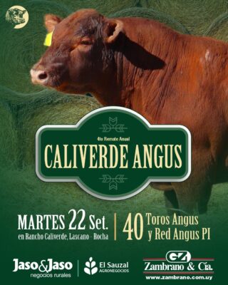 Angus Caliverde