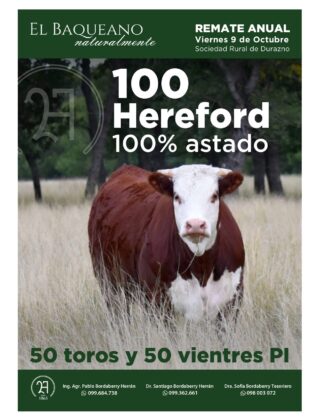 El Baqueano de Bordaberry El Baqueano de Bordaberry