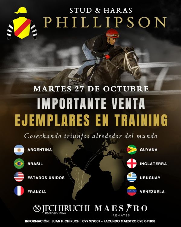 Stud & Haras Phillipson Stud & Haras Phillipson