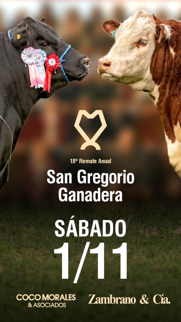 18 Remate Anual - San Gregorio Ganadera 18 Remate Anual - San Gregorio Ganadera