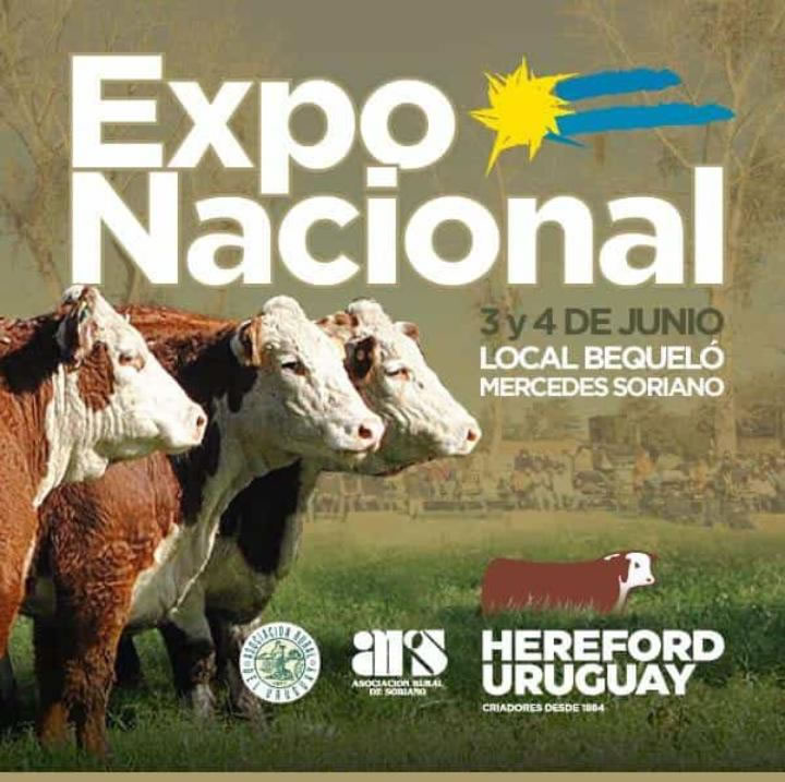 Expo Nacional Hereford