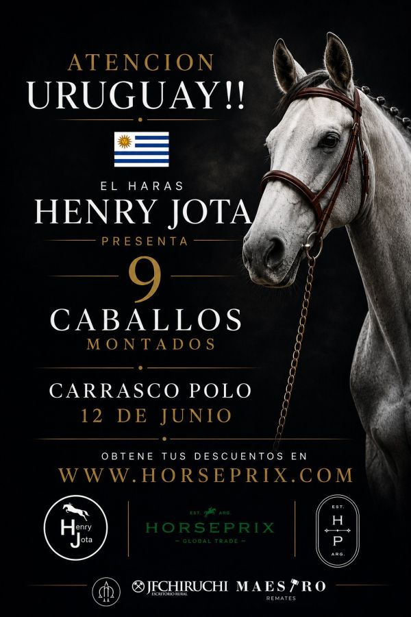 HARAS HENRY JOTA HARAS HENRY JOTA