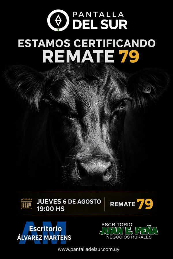 Pantalla del Sur - Remate 79 Pantalla del Sur - Remate 79