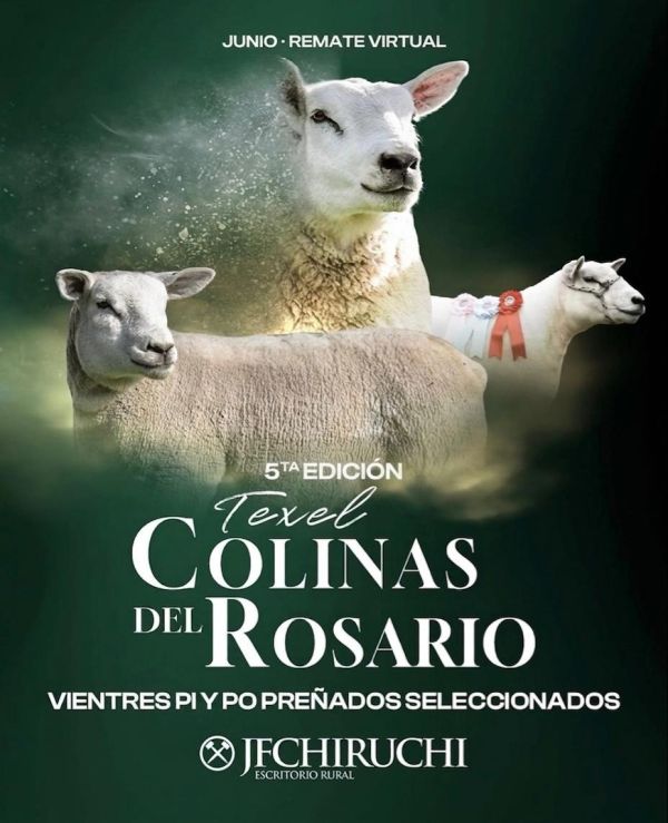 5to Remate Anual - Colinas del Rosario